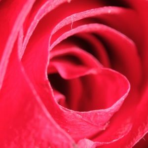 Meet your Posher, Sherlin